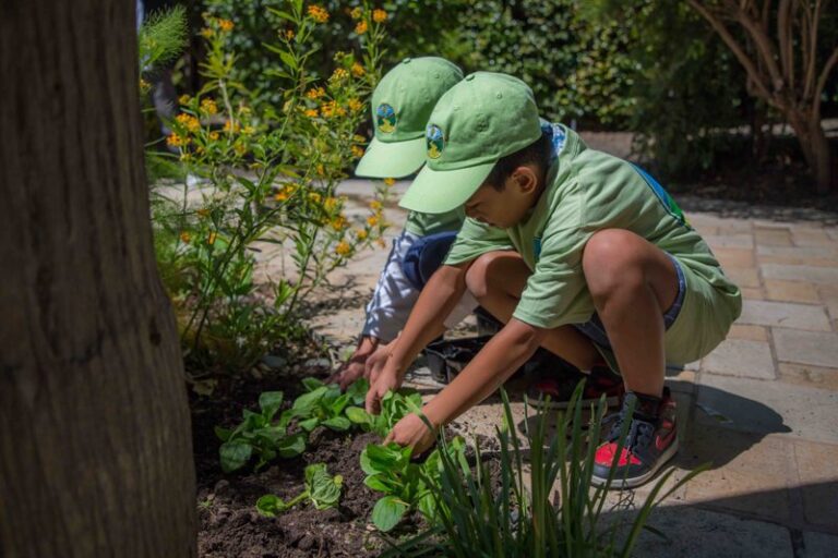 young volunteers carefully plant new flowers