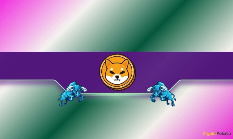 SHIB CB 13